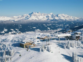 Apartment on the ski slope in Kleinarl
